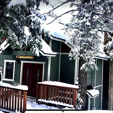 Hallelujah Forest Villa Big Bear Lake Luaran gambar
